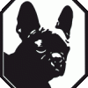 More information about "IKFB - Interview - German International Club for French Bulldogs"